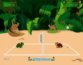 Turtles Volleyball