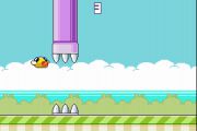 Flappy Beaks